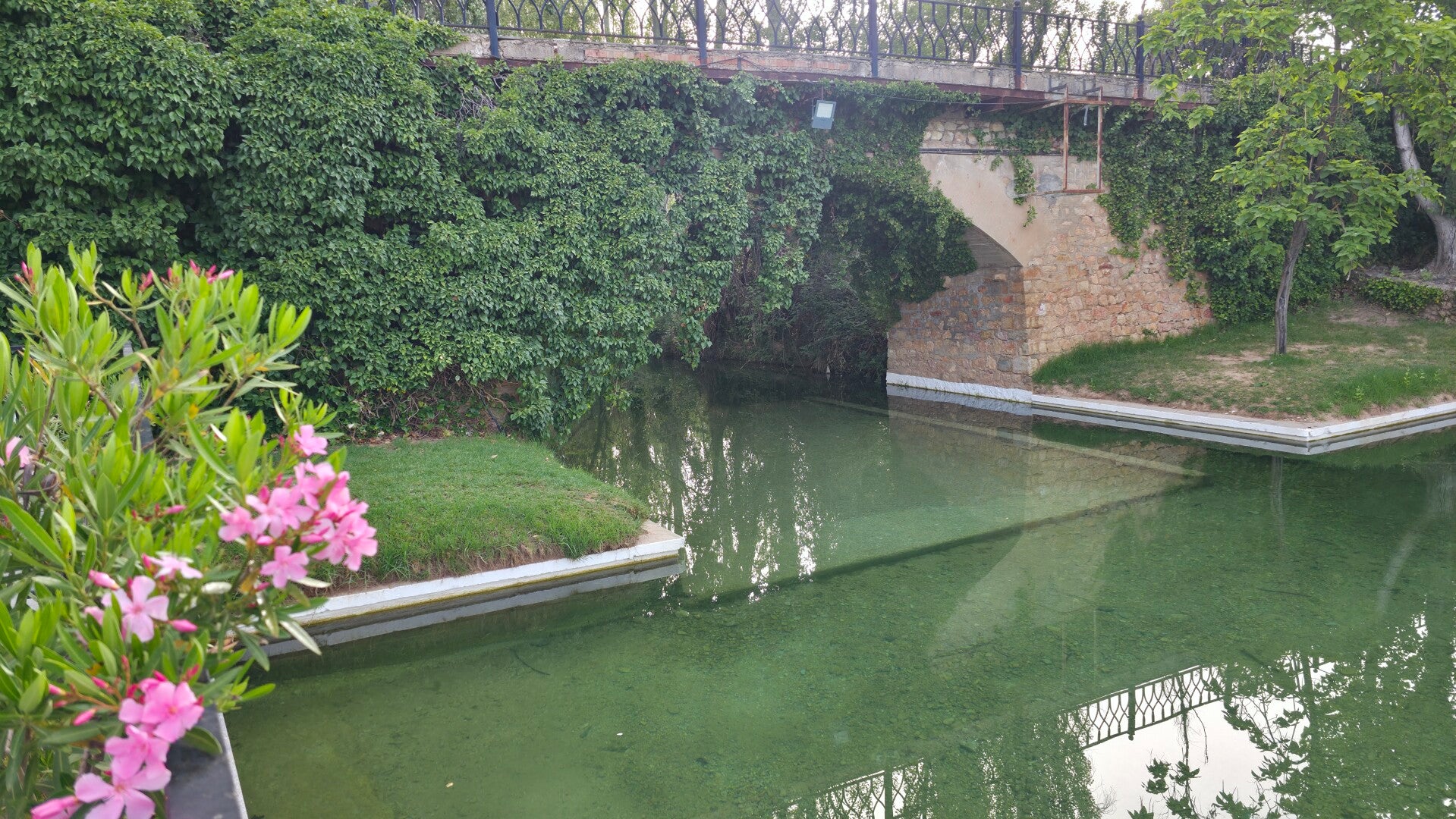 20260620_083557-standard.jpg