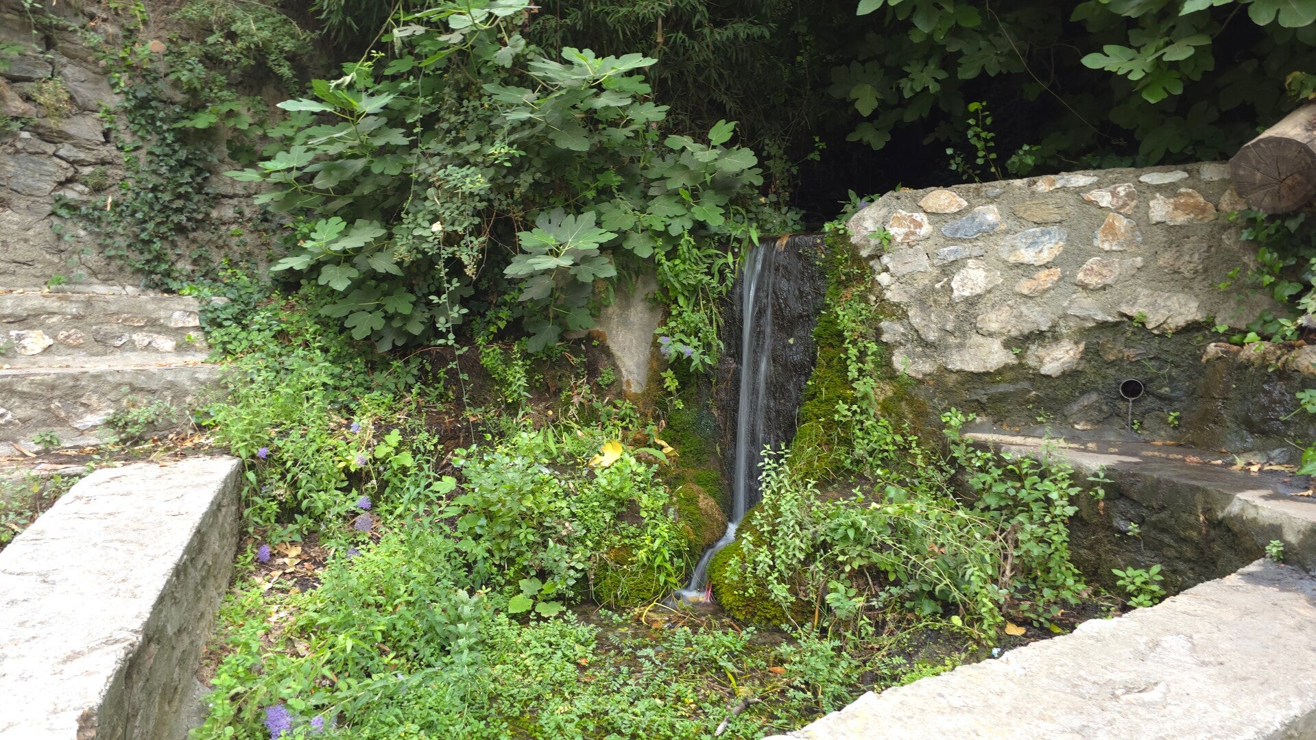 20260801_100918-standard.jpg