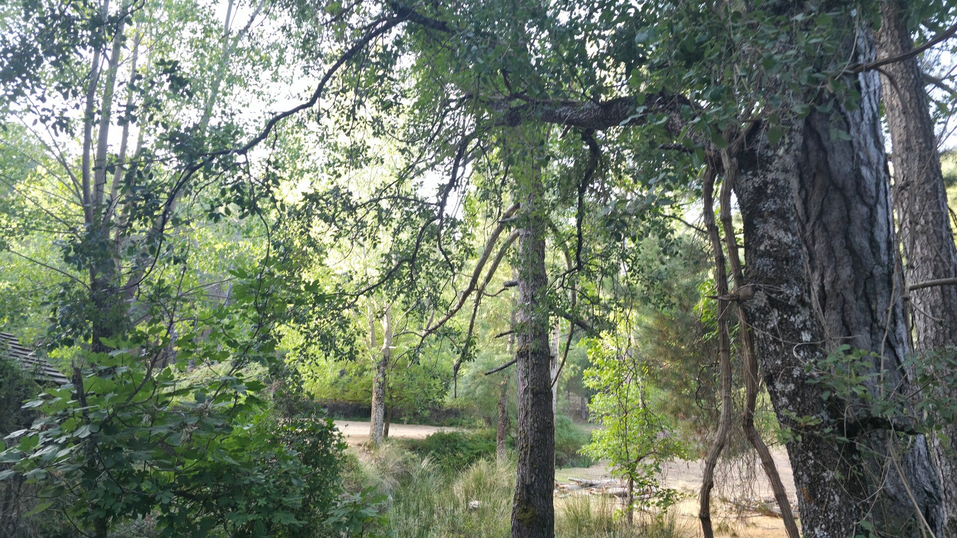 20260813_084037-standard.jpg
