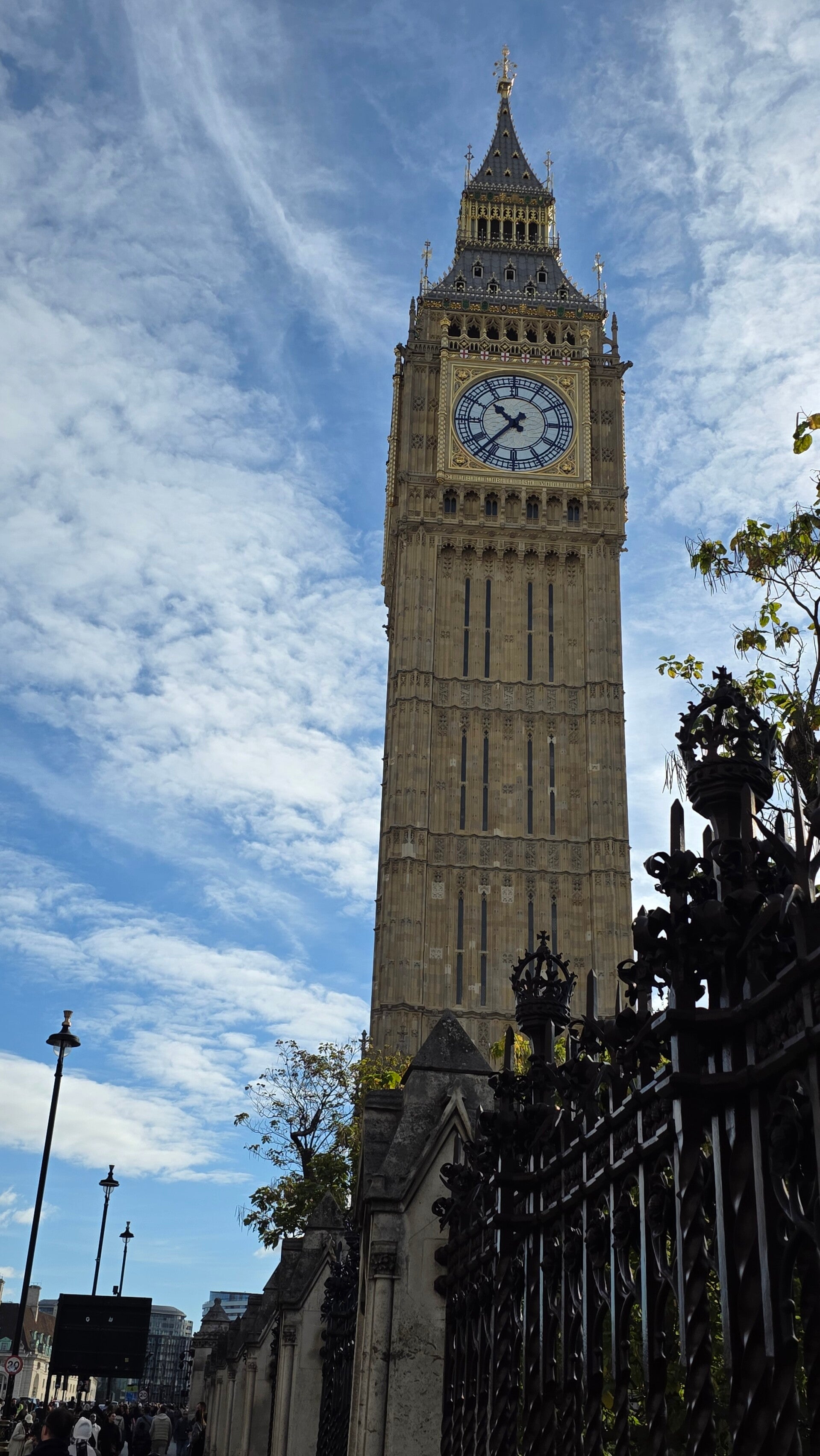 20261011_103701-standard.jpg