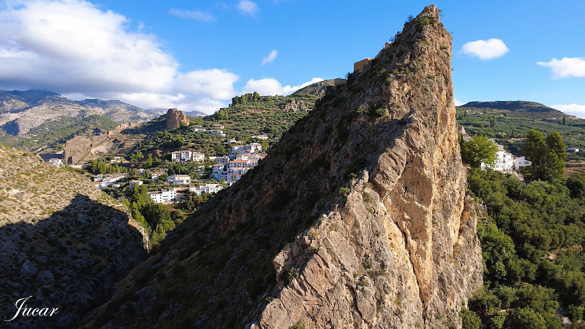 snapshot-2-standard.jpg