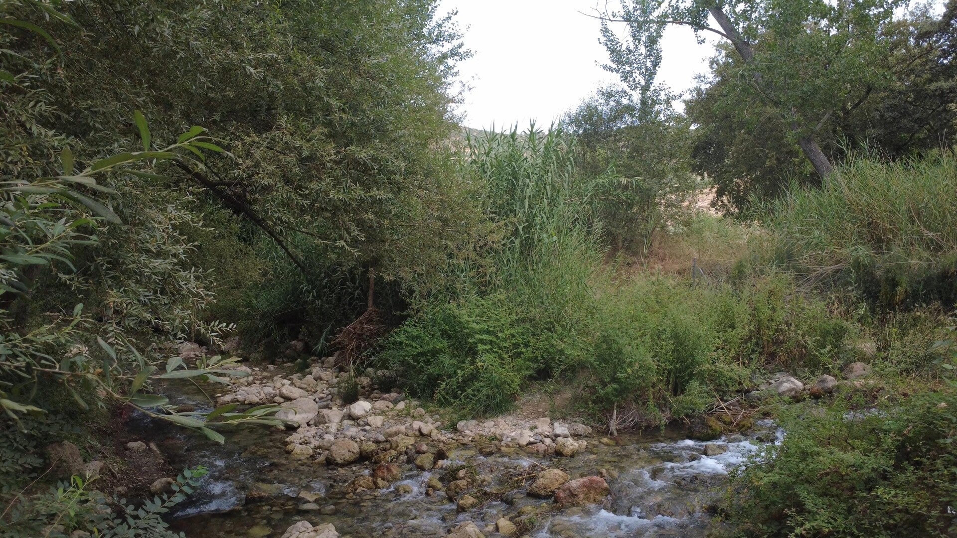 snapshot_4-standard-2lzwyw.jpg