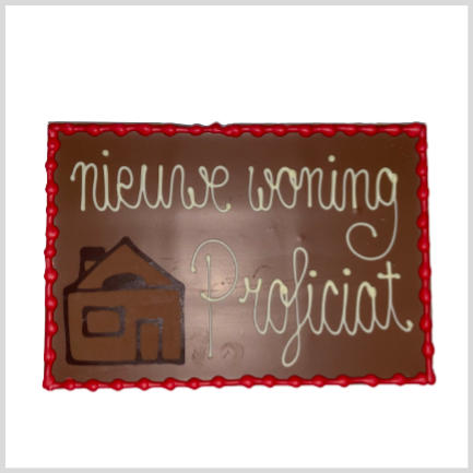 Nieuwe woning Proficiat - Reep XL