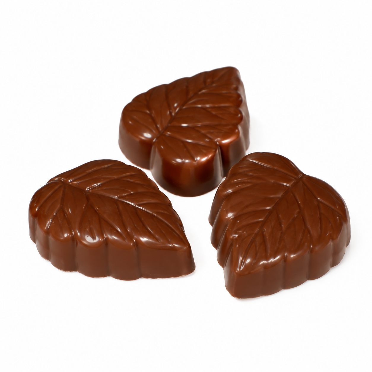 Herfstblad  Chocolade