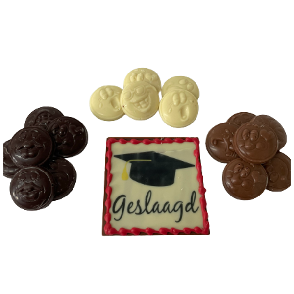 Geschenkzakje Geslaagd