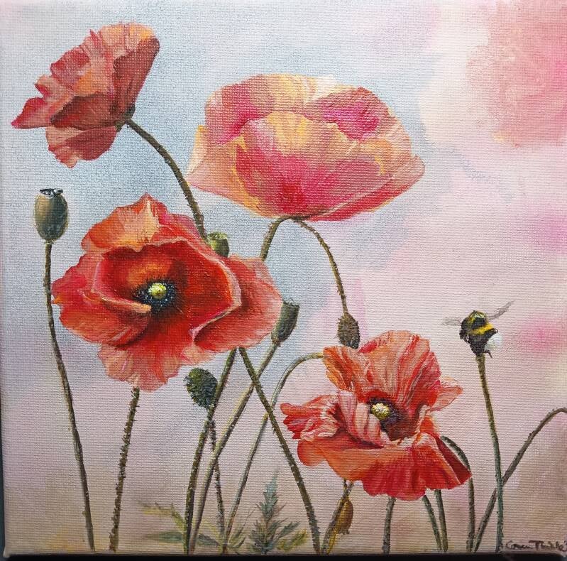 Mohn mit Hummel, 20 x 20cm