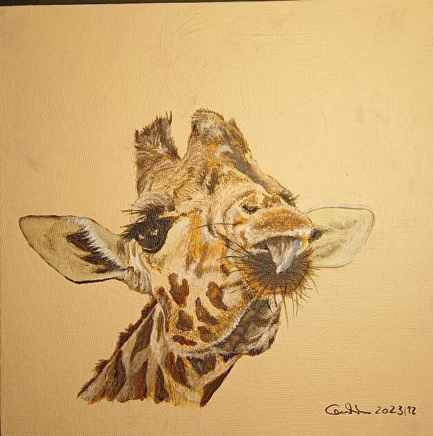 Giraffe, 20 x 20 cm