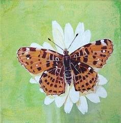 Landkärtchen 2, 15 x 15 cm