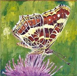 Landkärtchen 1, 15 x 15 cm