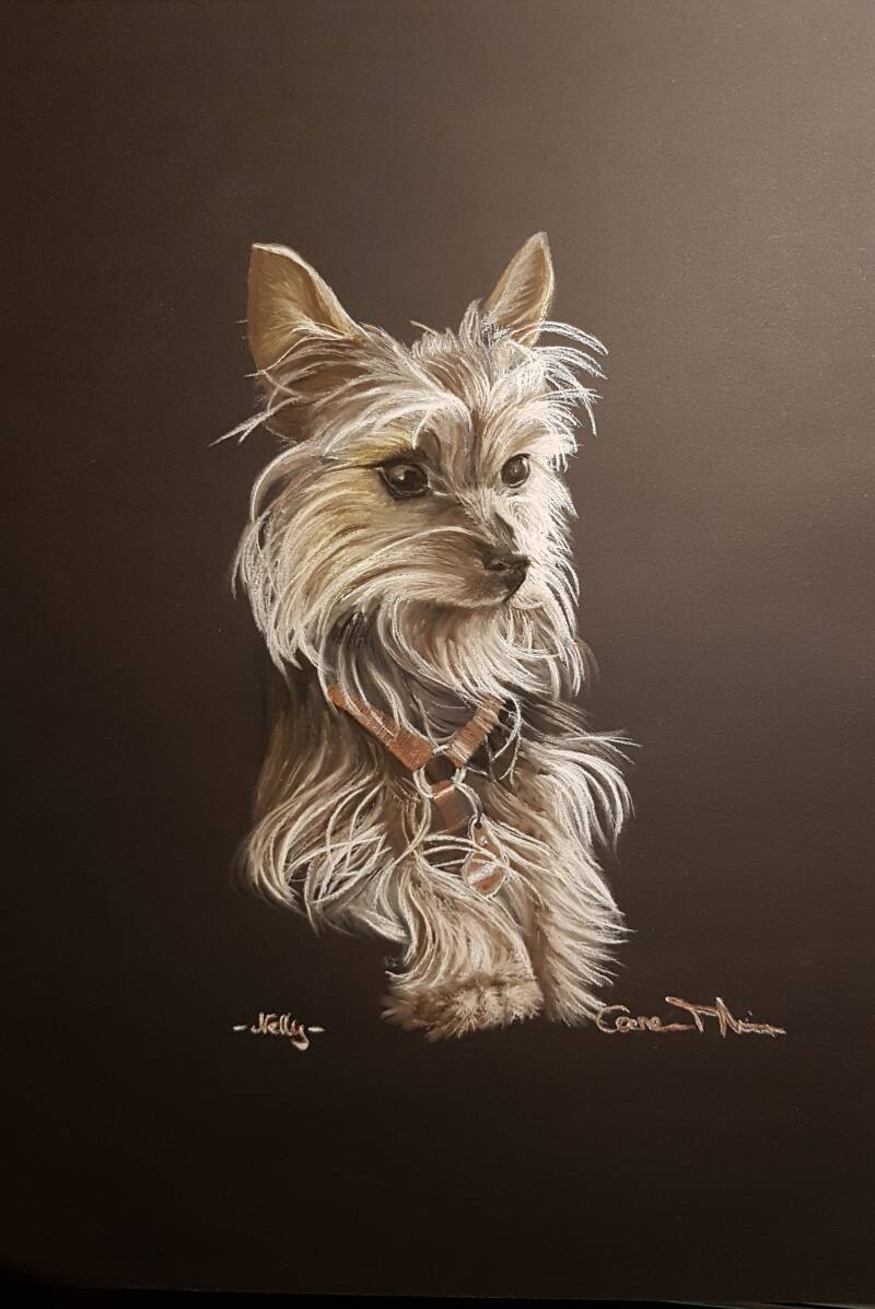 Nelly, A4