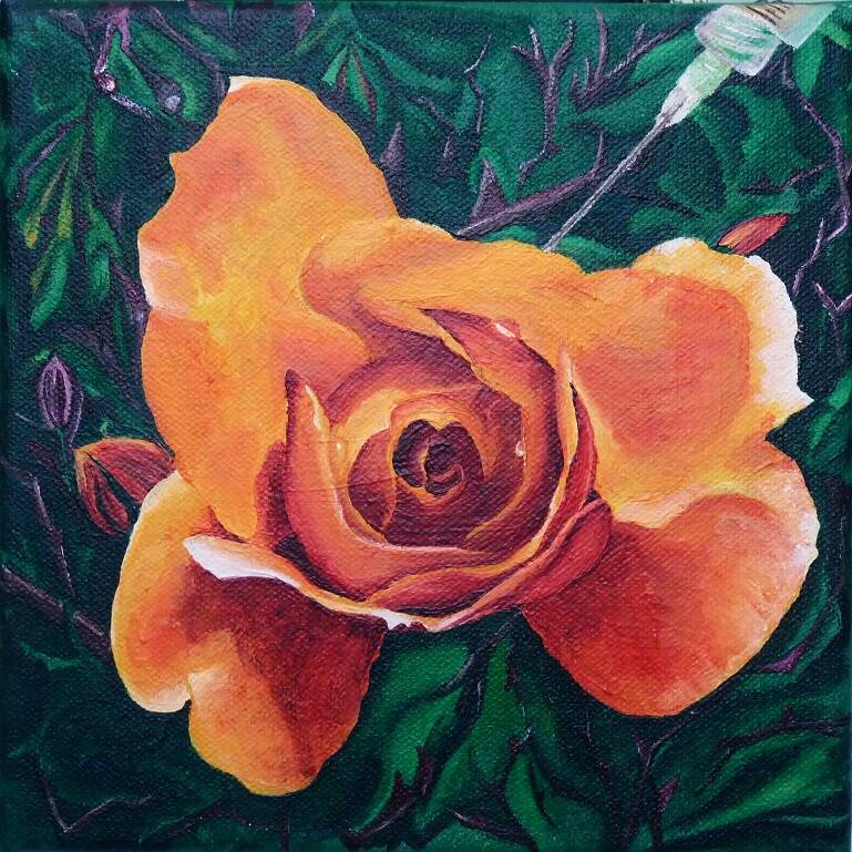 Züchtung, 20 x 20 cm