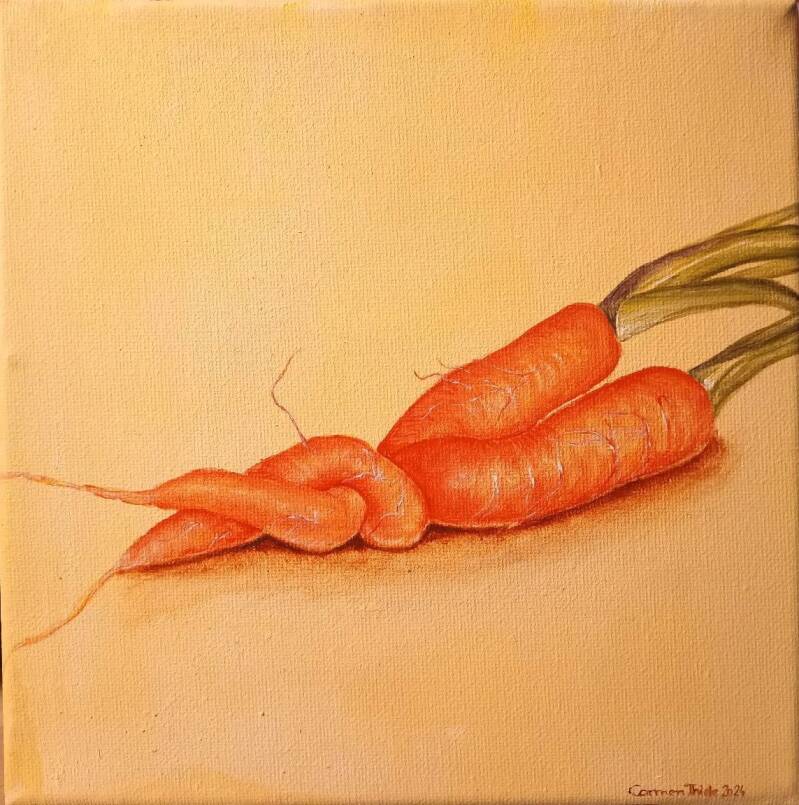 die lieben Möhren, 20 x 20 cm