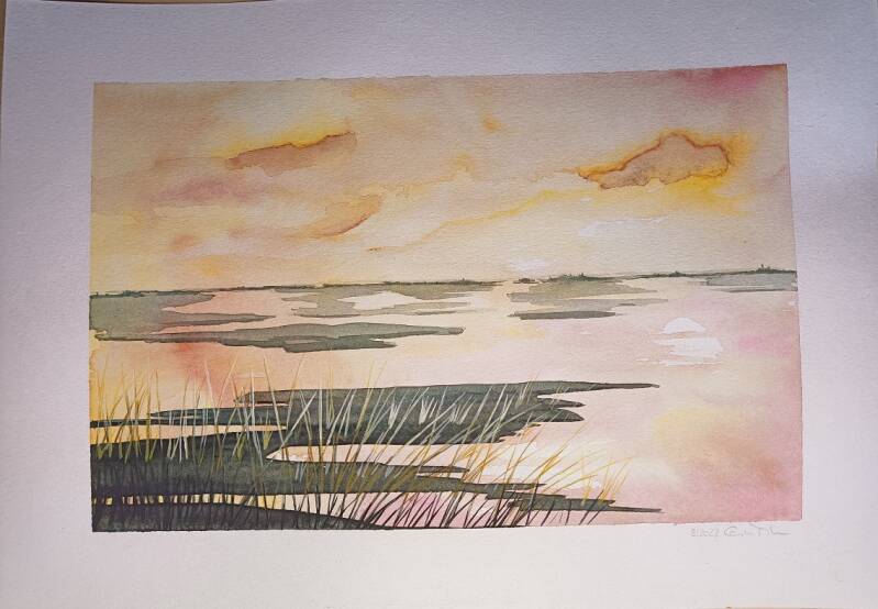 Abend an den Salzwiesen, A5