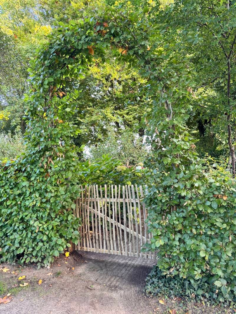 Kastanjehekje in beukenhaag met boog