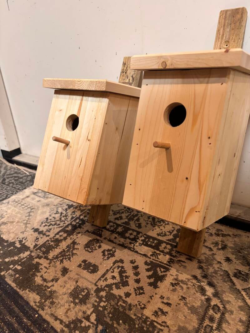 Twee nestkastjes voor Pimpelmezen