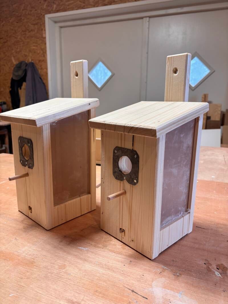 Twee nestkastjes voor koolmezen met kijkvenster