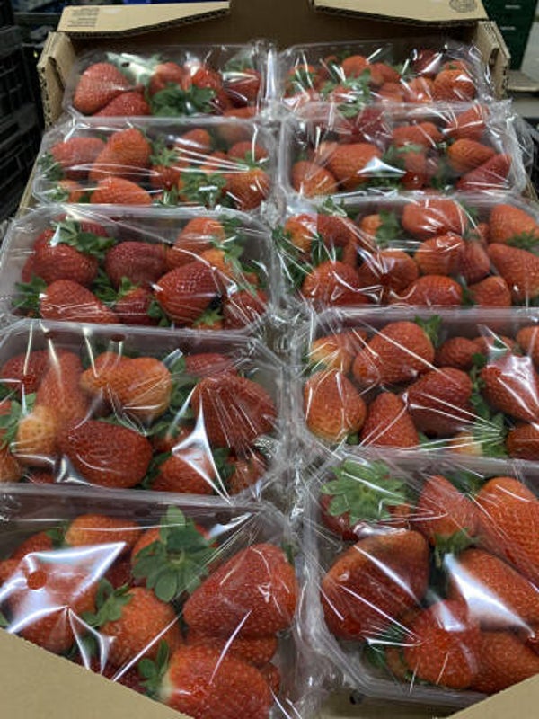 Spaanse aardbeien 2 x 500 gram