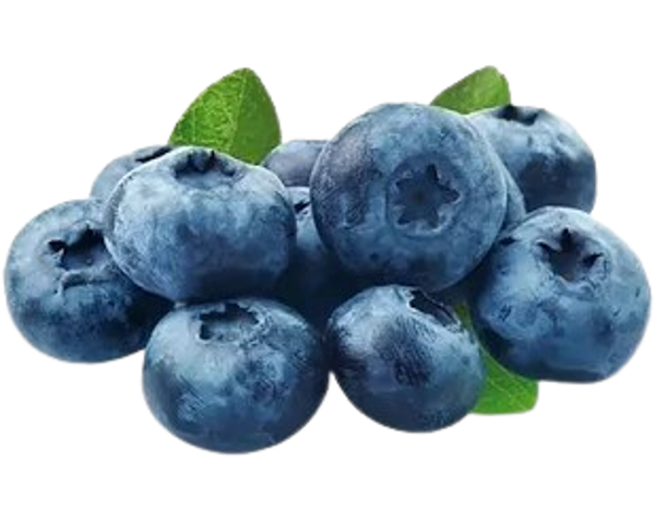 Blauwe Bessen 125 gram