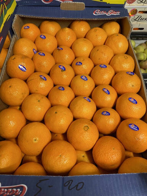 De allerlekkertse ! Kreta navels 6 stuks