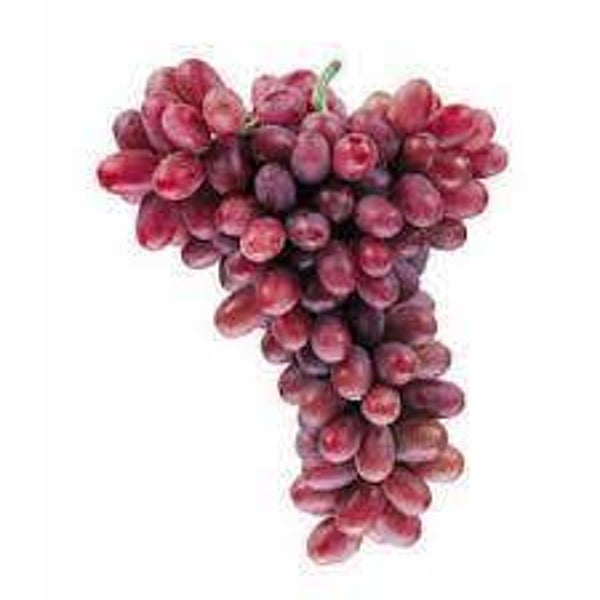 Pitloze blauwe druiven hele kilo !