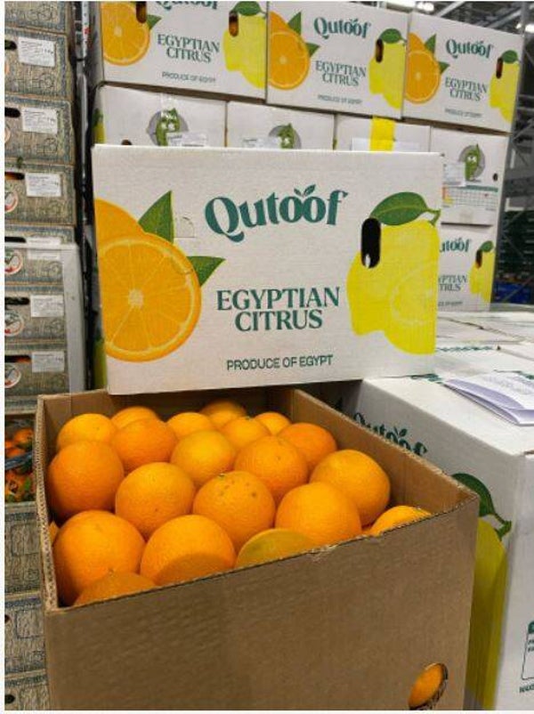 Doos perssinaasappels 15 KG