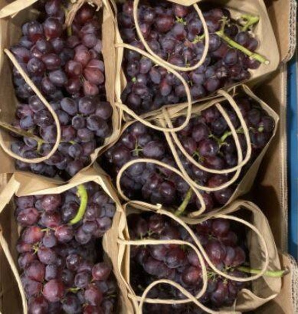 Pitloze blauwe druiven  HELE KILO !!