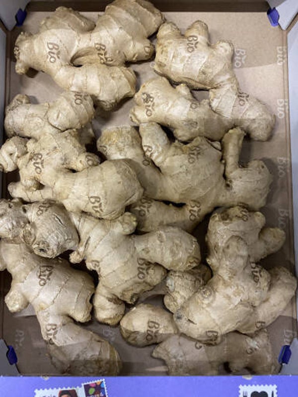 Bio Gember per 100 gram