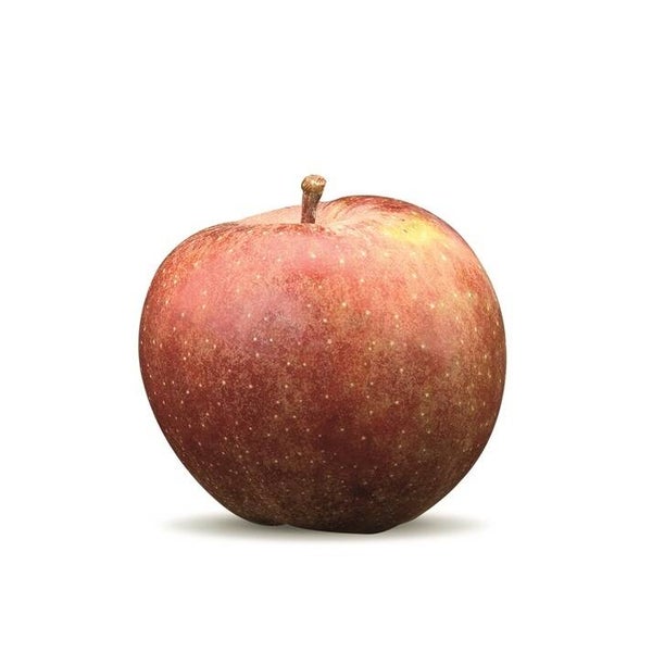 Goudreinetten  hele kilo