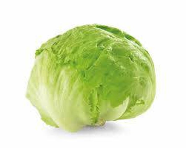 Hollandse ijsbergsla