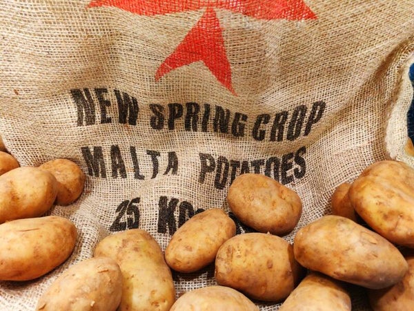 Nieuw oogst Malta aardappelen 1kg