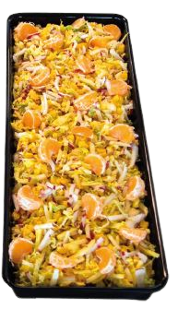 Oosterse Mango Salade per bakje