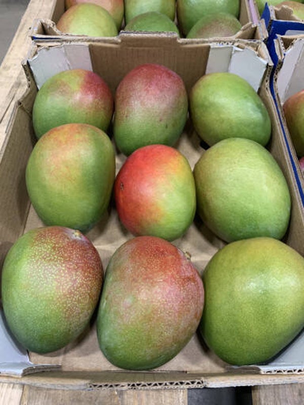 Mango ready to eat  2 stuks