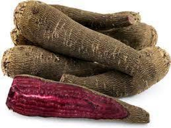 Bieten Crapaudine ( oer bieten ) per kilo