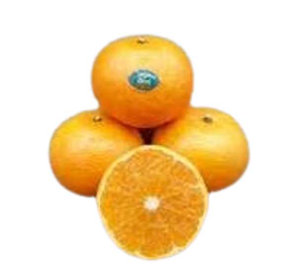 Clementine , variant ORRI grote maat