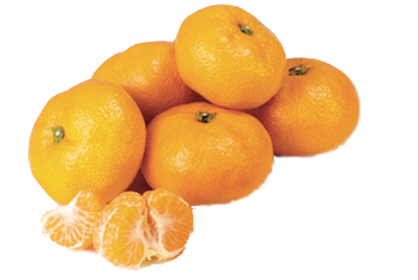 Grote maat Satsuma's