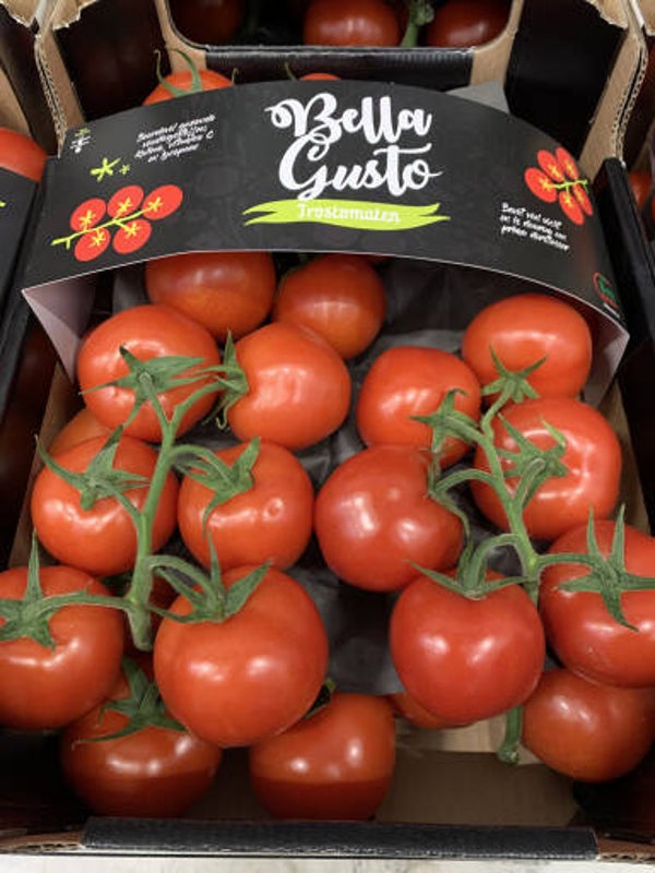 Hollandse Trostomaten hele kilo