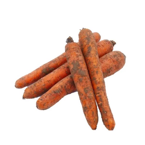 Winterpeen ( vuil ) per kilo