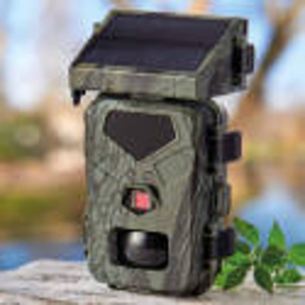 Self-detecting solar camera