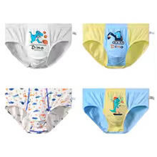 G18 briefs coton dino
