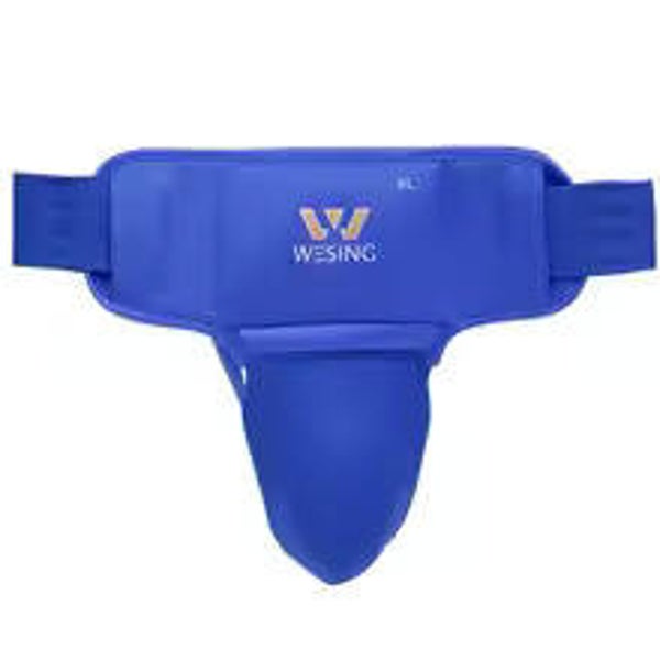 SS18 protector Wesing