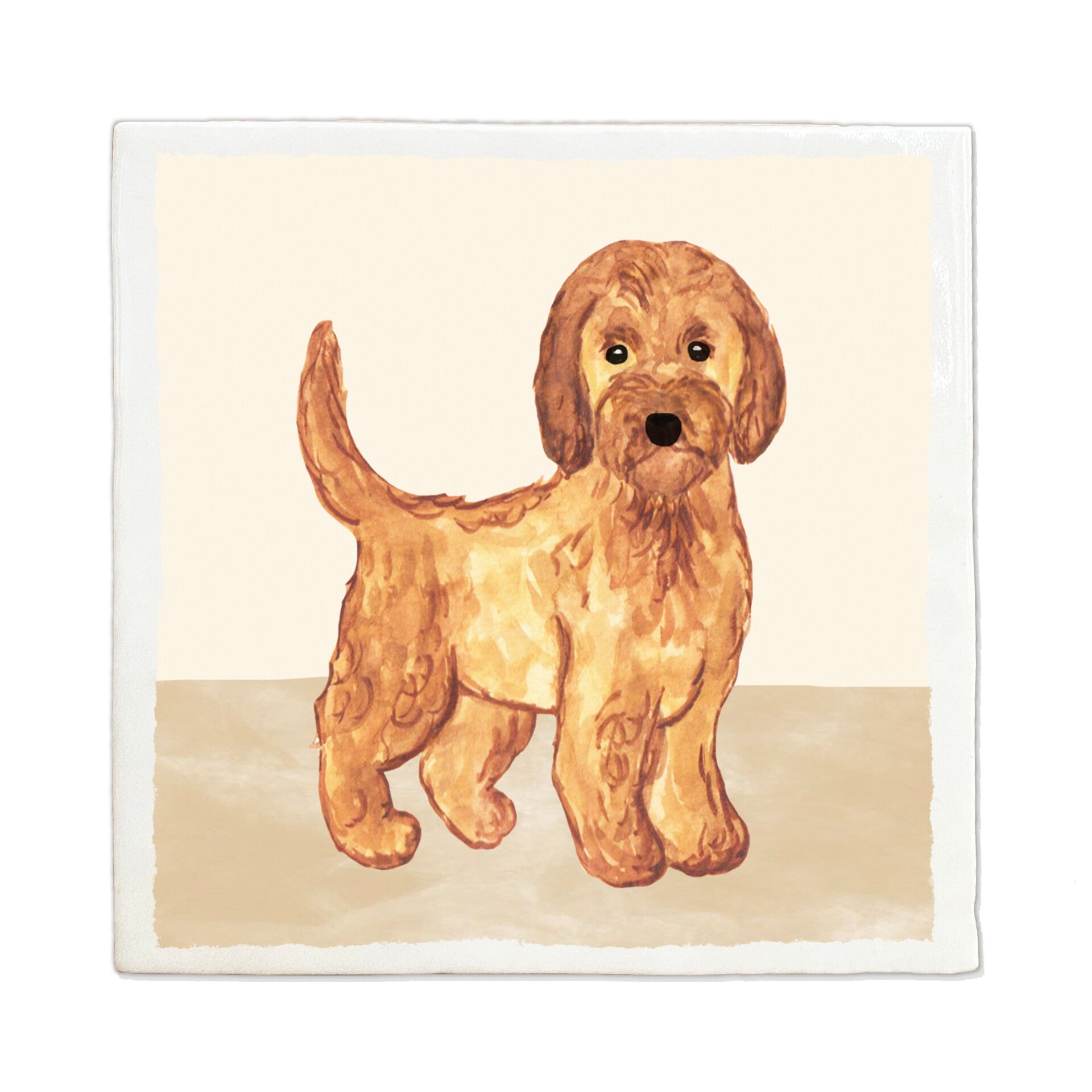Tegeltje 'Labradoodle'