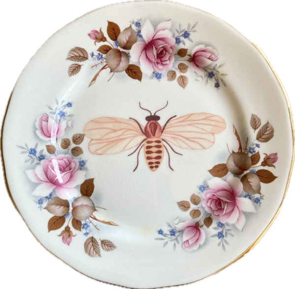 Cicade op bordje met bloemen en gouden rand