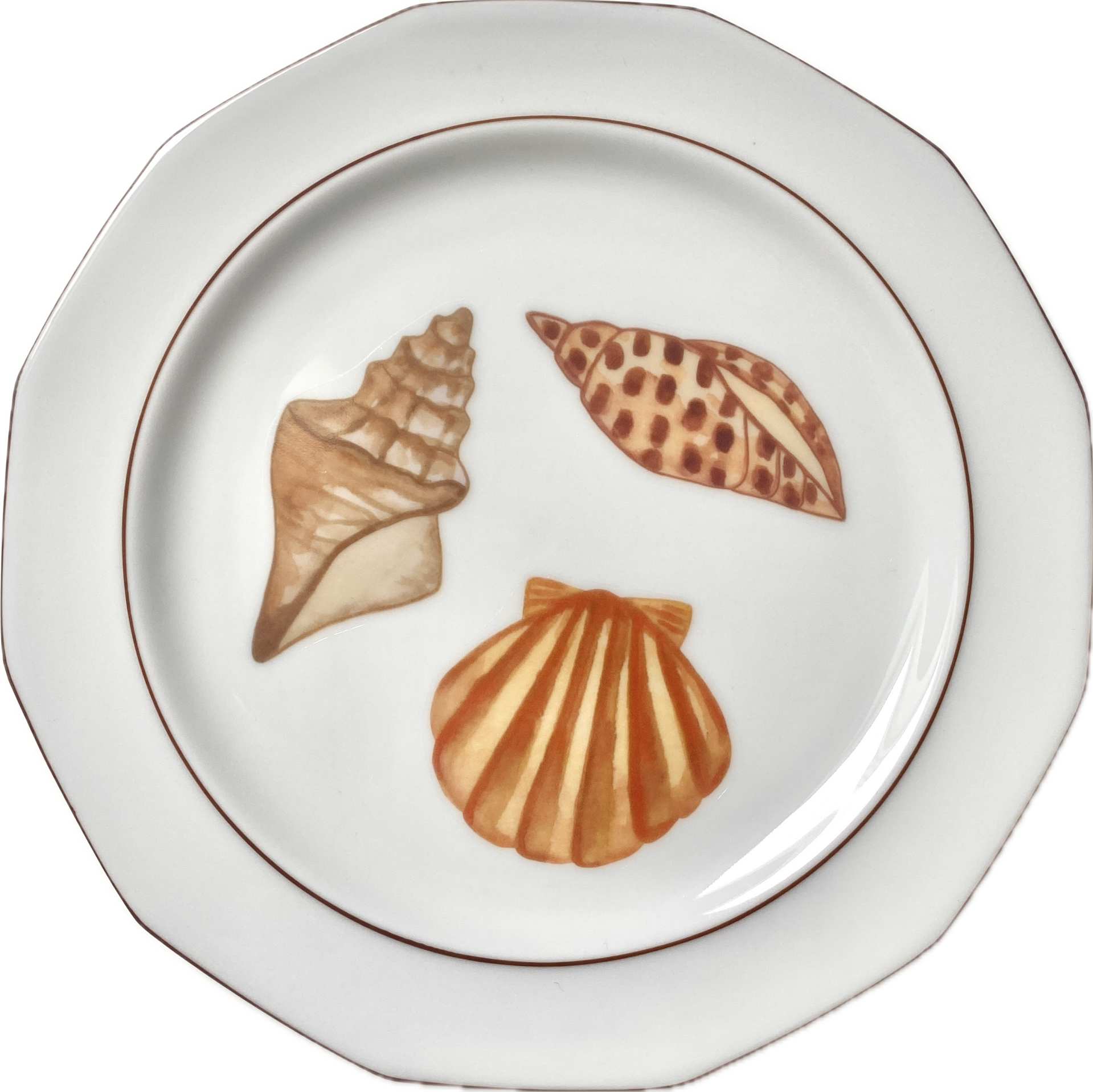 Schelpen op bordje met bruine rand