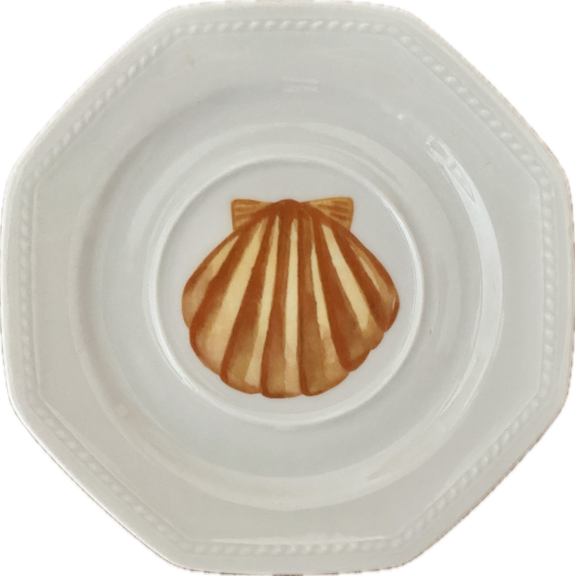 Schelp op hoekig bordje