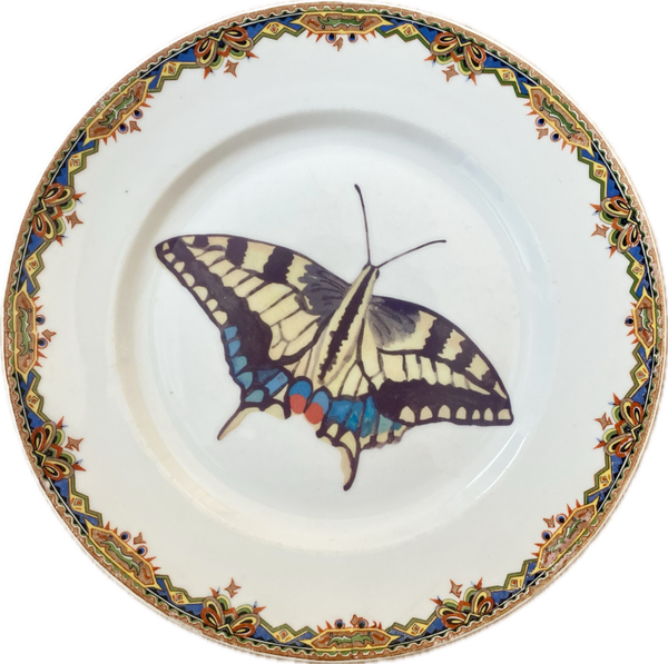 Vlinder op bord met decoratieve rand