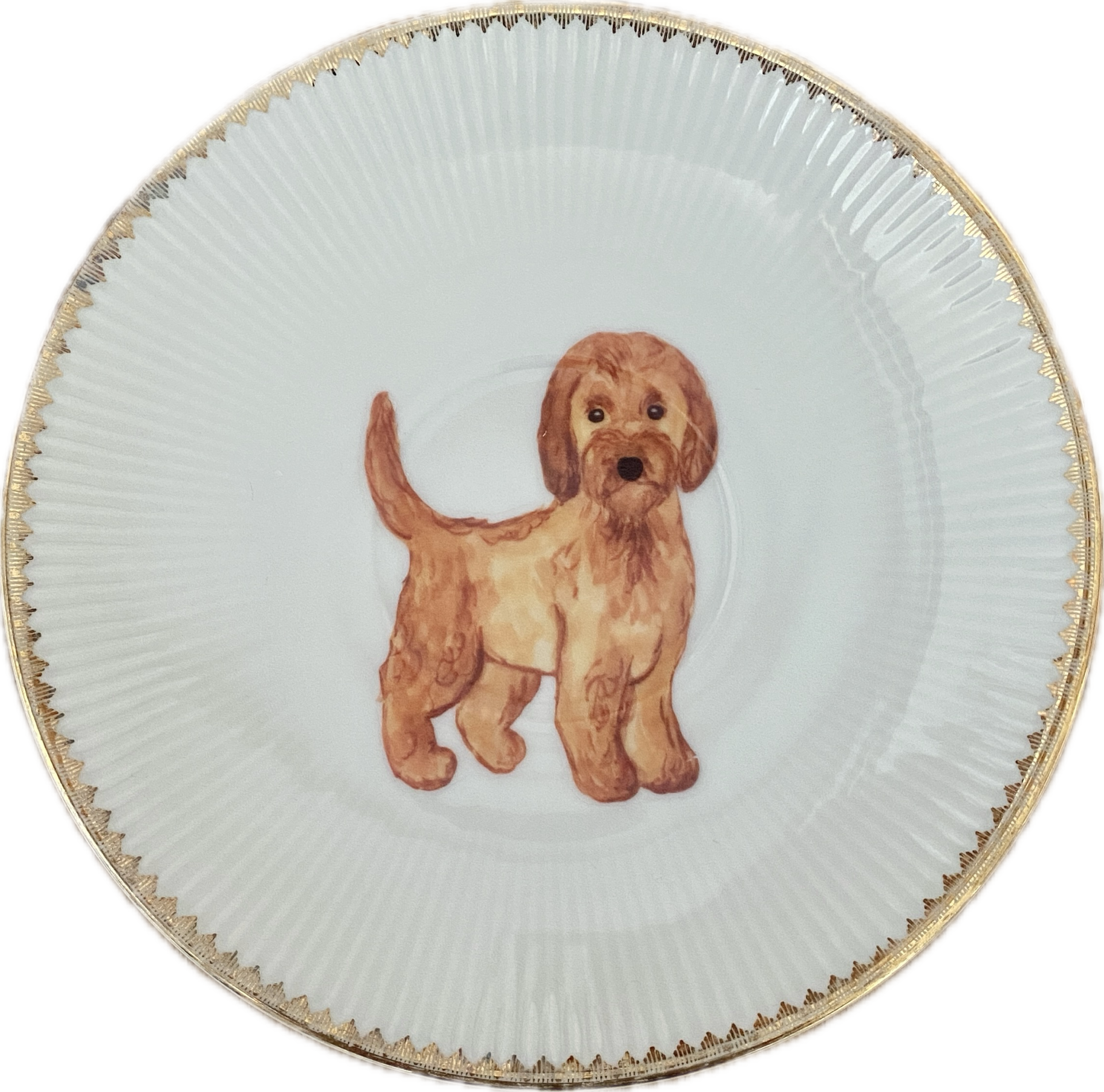 Labradoodle op schotel met gouden rand