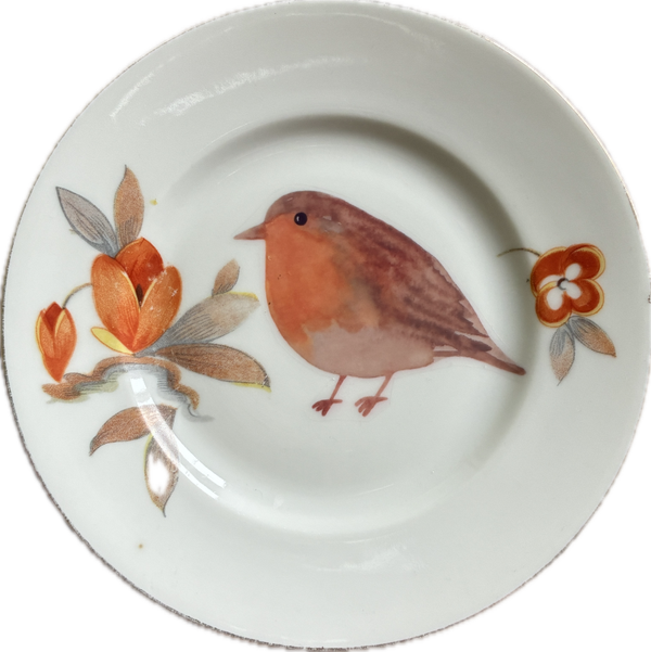 Roodborstje op schotel met bloemen