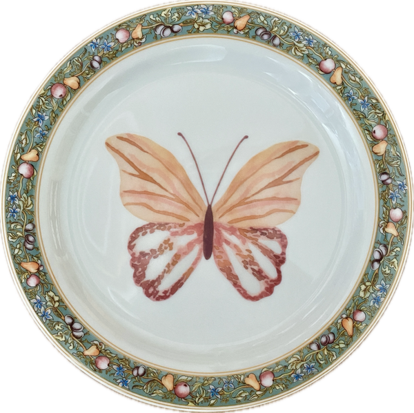 Vlinder op bord met decoratieve rand