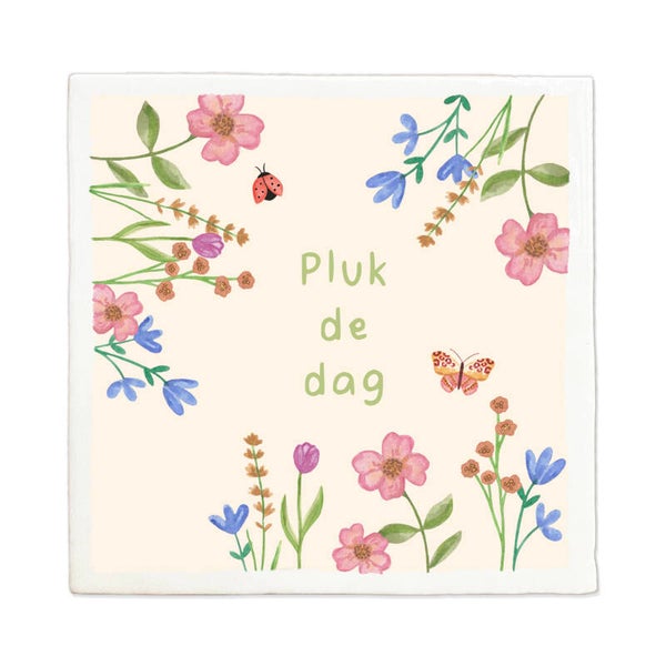 Tegeltje 10x10 'pluk de dag'