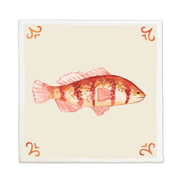 Tegeltje 10x10cm 'Vis'
